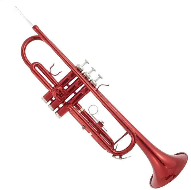 How to choose a student trumpet that suits you?