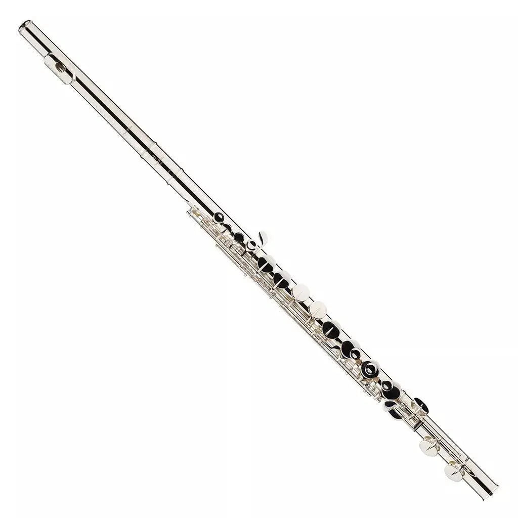 Stepping into the World of Music: Where to Buy Beginner Flutes