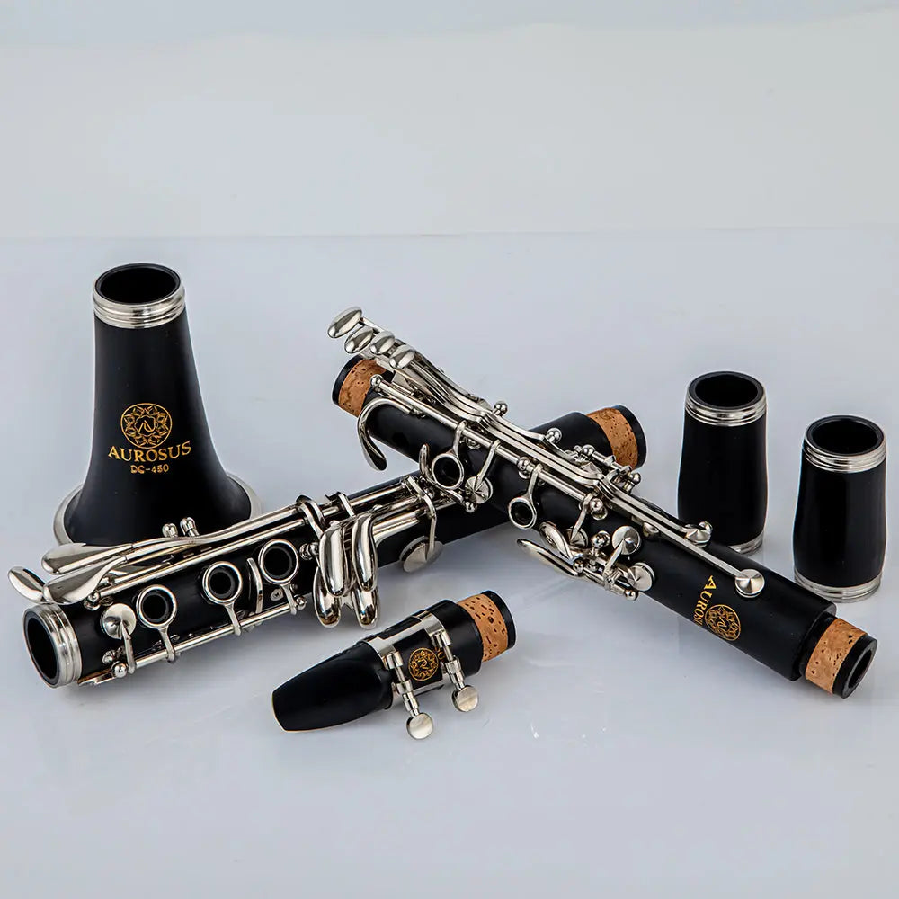 Explore our Student Clarinet Collections including professional and beginner sets