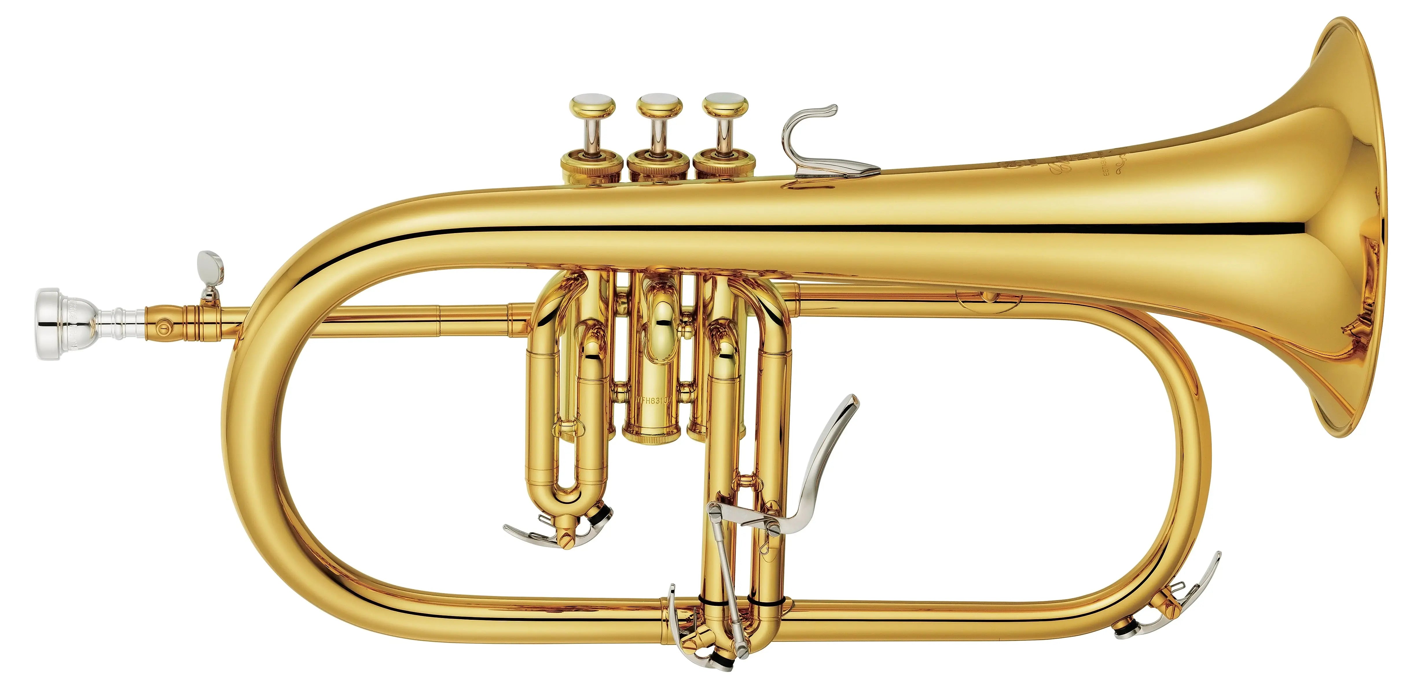 High-Grade Student Flugelhorn with mouthpieces for sale, perfect for expressing emotion and joy in music