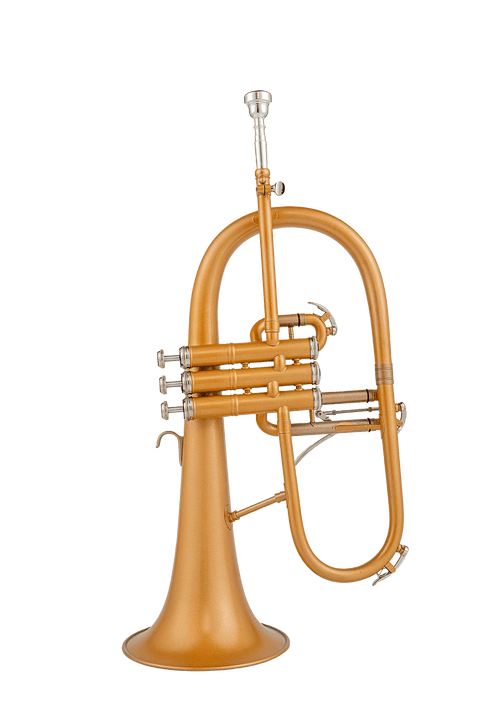 Bb Trigger Flugelhorn Gold Brass Bell Clear Lacquer