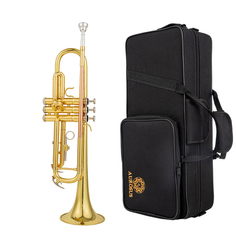 ATR-6331H Student Bb Trumpet Yellow Brass gold lacquer