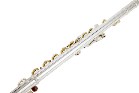 Aurosus FL-200R Flute Open Holes Flute for Student