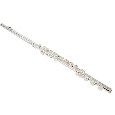 Aurosus FL-200R Flute Open Holes Flute for Student