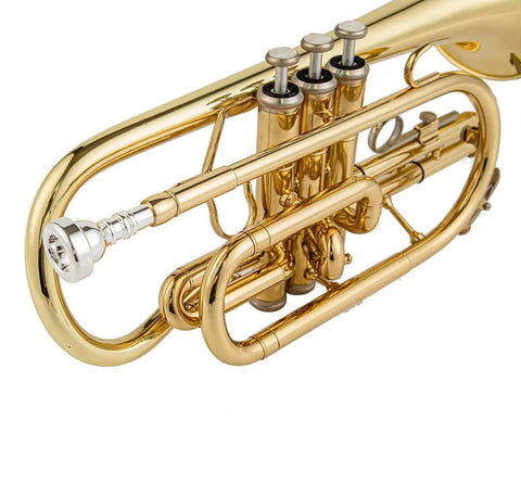 JP YCR-4330 Bb Cornet by Aurosus - Exceptional quality yellow brass instrument with gold lacquer finish2