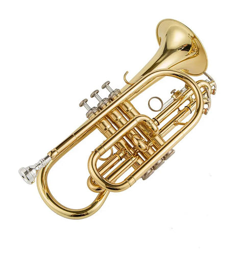 JP YCR-4330 Bb Cornet by Aurosus - Exceptional quality yellow brass instrument with gold lacquer finish1