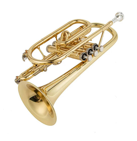 JP YCR-4330 Bb Cornet by Aurosus - Exceptional quality yellow brass instrument with gold lacquer finish0