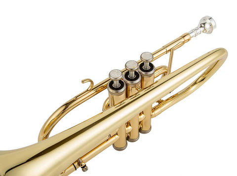 JP YCR-4330 Bb Cornet by Aurosus - Exceptional quality yellow brass instrument with gold lacquer finish3