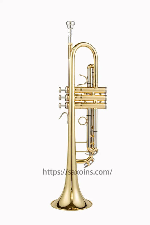 Aurosus LT180-43 Stradivarius beginner student Bb trumpet7