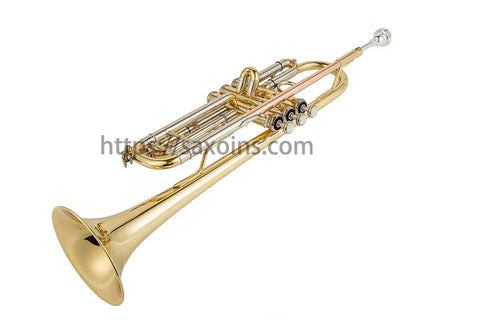 Aurosus LT180-43 Stradivarius beginner student Bb trumpet3