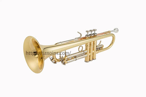 Aurosus LT180-43 Stradivarius beginner student Bb trumpet2