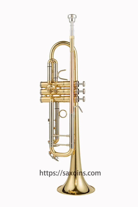 Aurosus LT180-43 Stradivarius beginner student Bb trumpet6