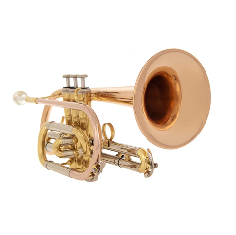 Aursous AU171SW Bb Cornet - Ideal for Beginners and Professionals 01