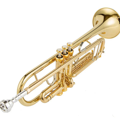 Yellow Brass Bach Bb Trumpet for students with accessory by JP8