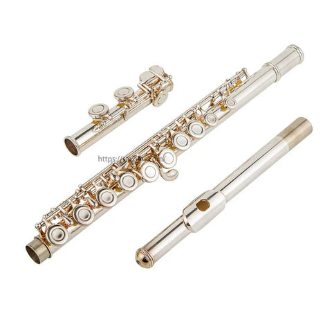 Closed Hole Flute with 16 Keys, C Key, Offset G, Silver Plated, JP8