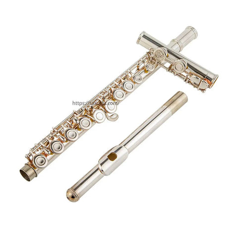 Closed Hole Flute with 16 Keys, C Key, Offset G, Silver Plated, JP6