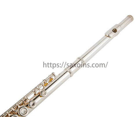 Closed Hole Flute with 16 Keys, C Key, Offset G, Silver Plated, JP9