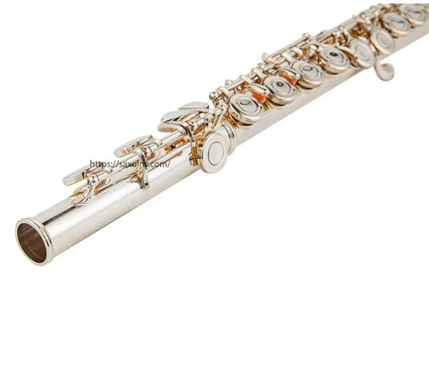 Closed Hole Flute with 16 Keys, C Key, Offset G, Silver Plated, JP4