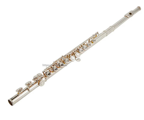 Closed Hole Flute with 16 Keys, C Key, Offset G, Silver Plated, JP10