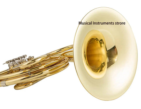 HR-811 3 Key Student French Horn - JP4