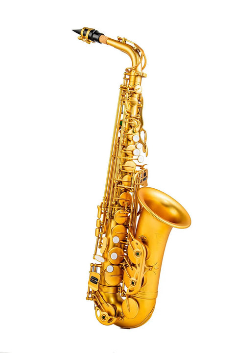 Professional Yellow Brass Eb Alto Saxophone for Beginners Students JP