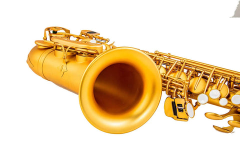 Professional Yellow Brass Eb Alto Saxophone for Beginners Students JP