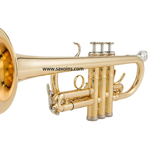 TR-6338 Eb/D Student Trumpet with Mouthpiece brass trumpets 301