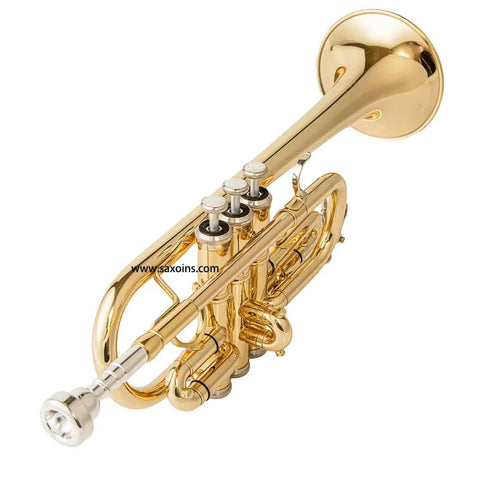 TR-6338 Eb/D Student Trumpet with Mouthpiece brass trumpets 981