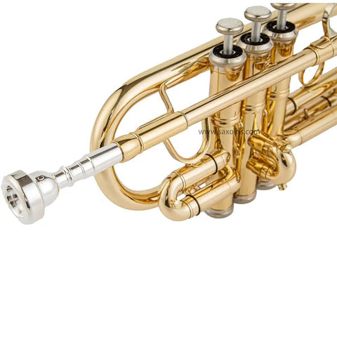 TR-6338 Eb/D Student Trumpet with Mouthpiece brass trumpets 0110