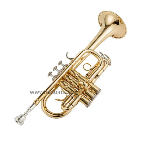 TR-6338 Eb/D Student Trumpet with Mouthpiece brass trumpets 310