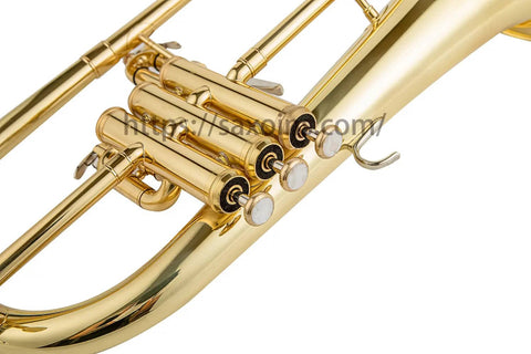 Aurosus Bb Yellow Brass Flugelhorn YFH-8310Z - Professional Quality - JP Professional Instrument Store