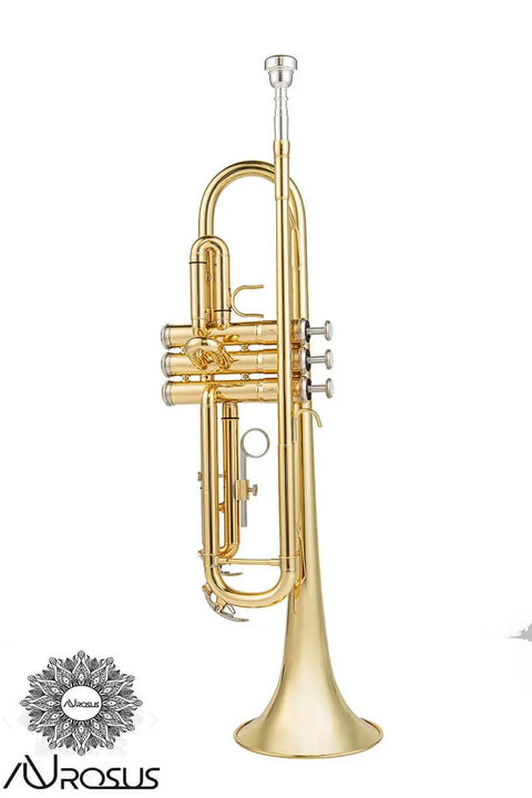 Aurosus YTR-6335 G Bb Trumpet for students and beginners, musical instrument6